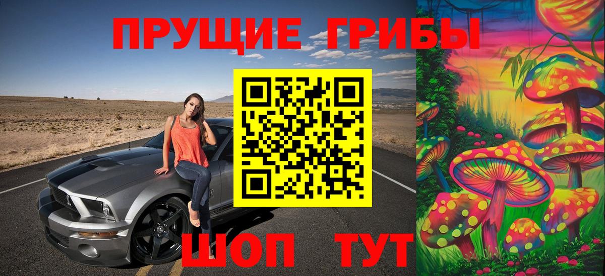 Галлюциногенные грибы мицелий  Псилоцибиновые грибы ЛСД  Вход с VPN  Камышлов 