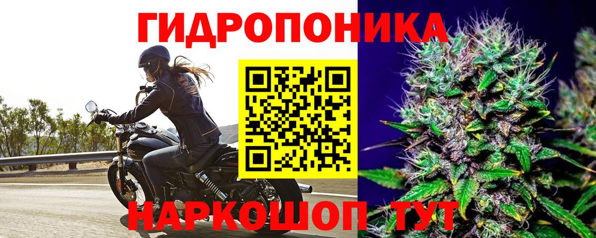 Бошки марихуана Bruce Banner  Вход с VPN  Камышлов  МАРИХУАНА MAZAR 